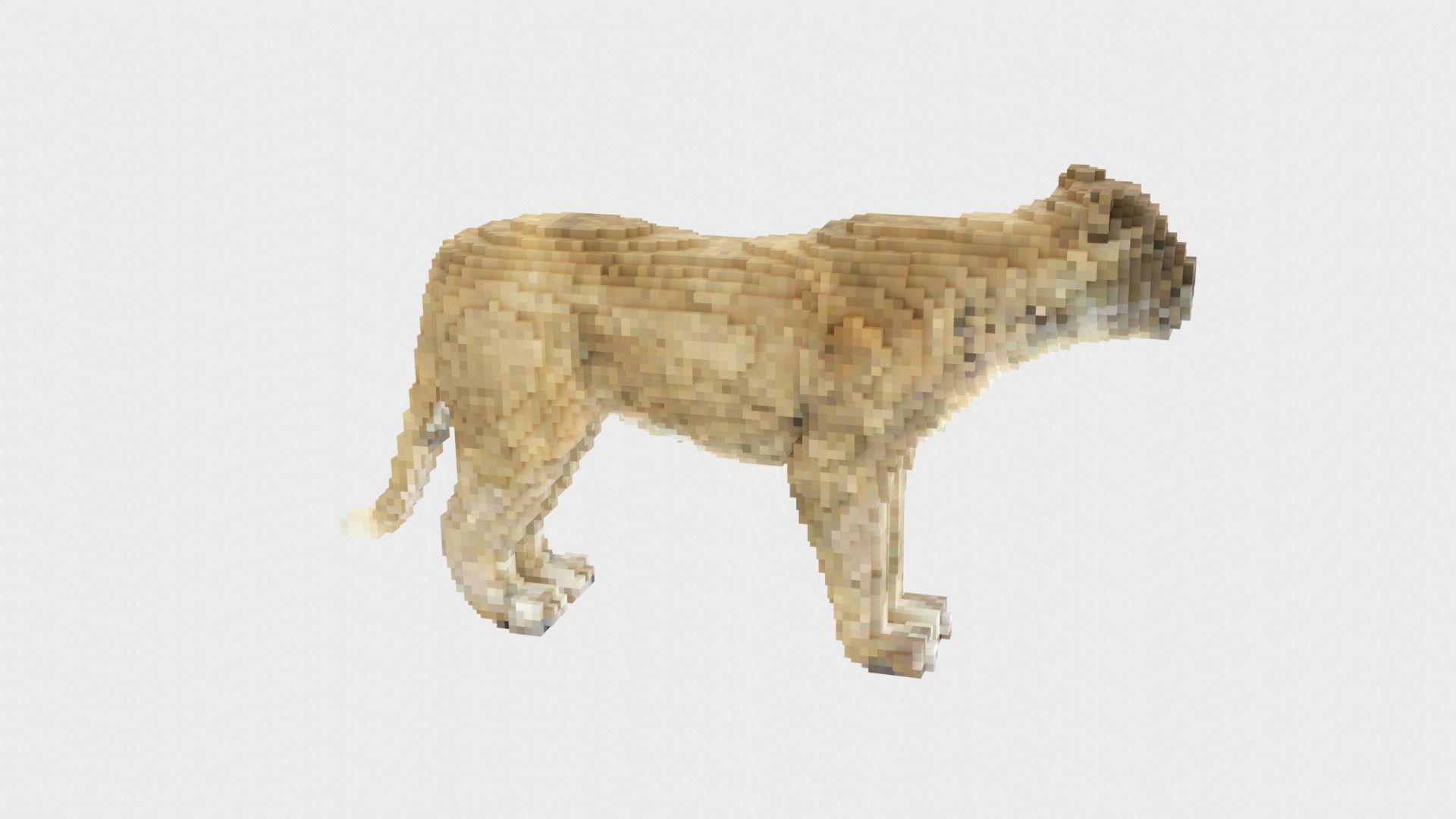 Lion Voxel Style Low-poly 3D model_4