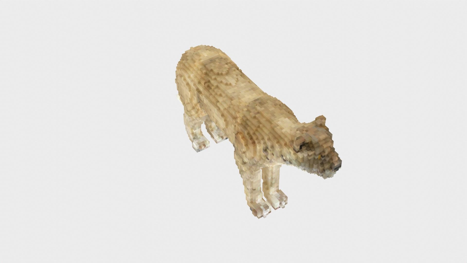 Lion Voxel Style Low-poly 3D model_7