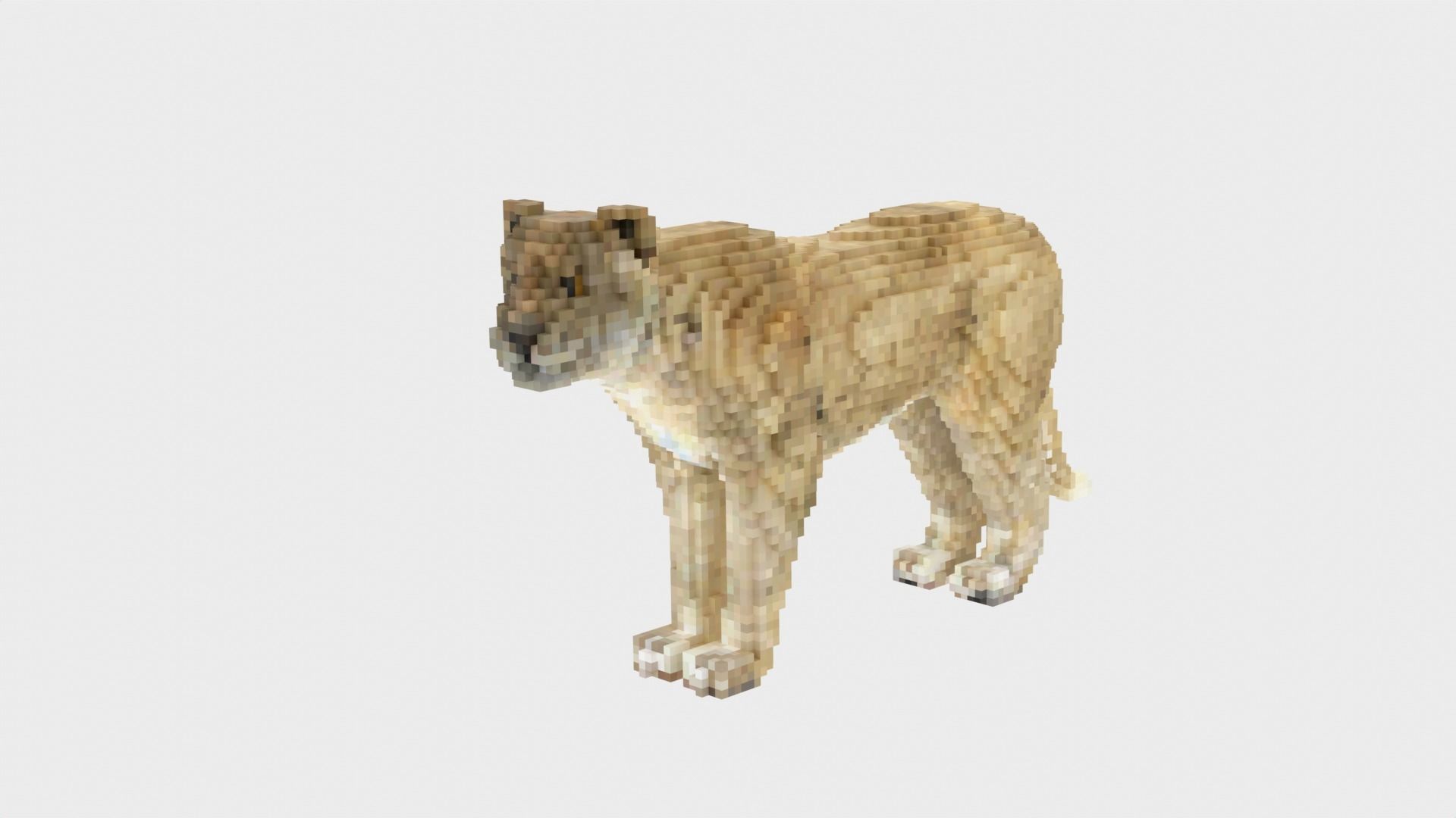 Lion Voxel Style Low-poly 3D model_9
