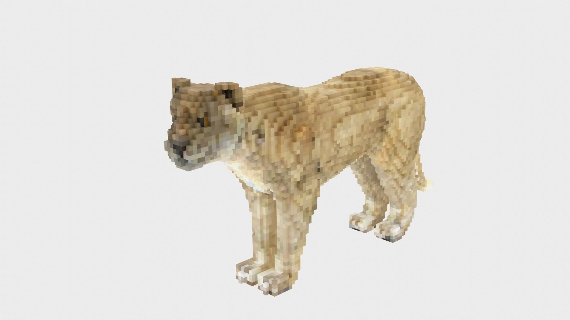 Lion Voxel Style Low-poly 3D model_1