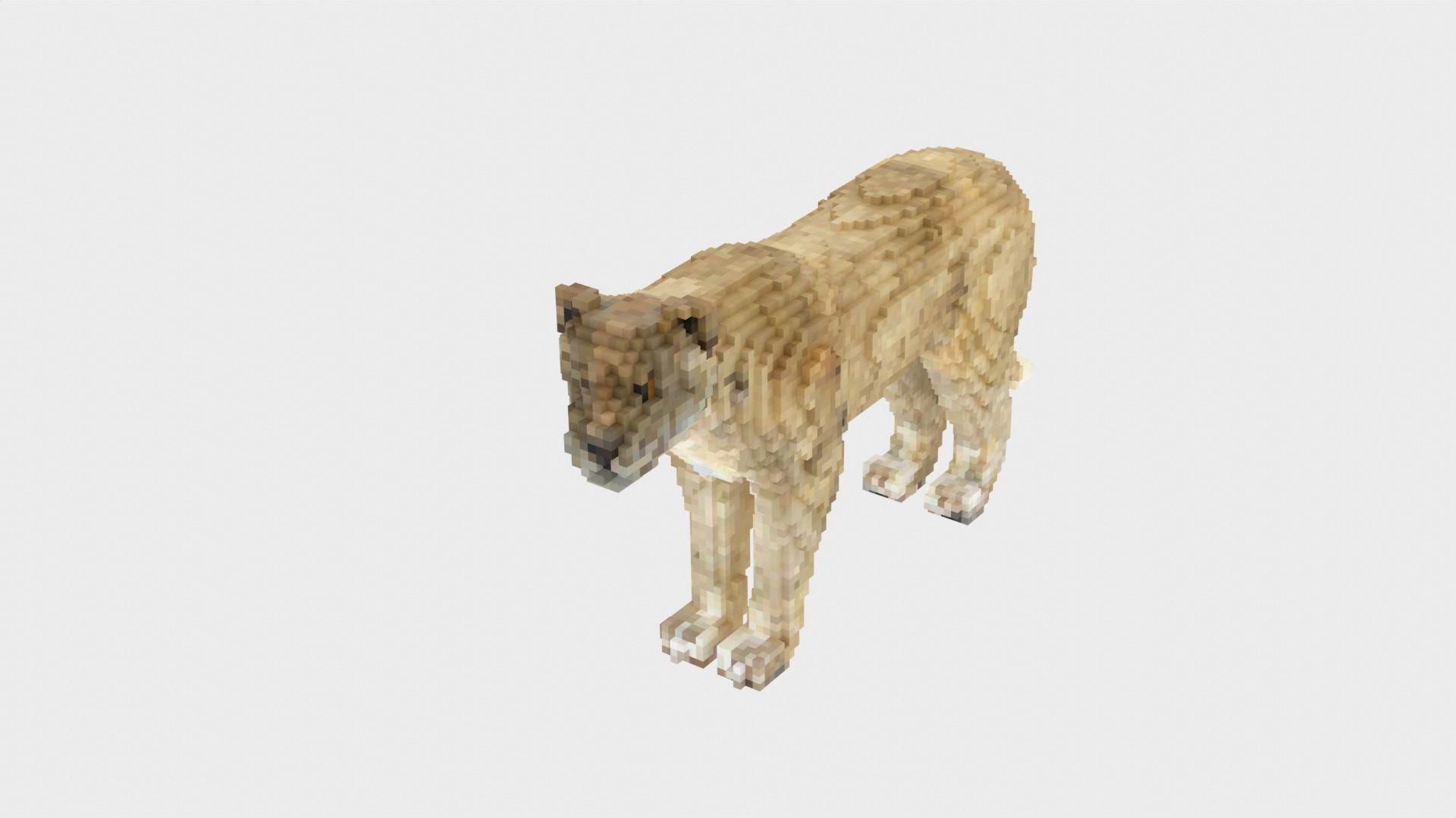 Lion Voxel Style Low-poly 3D model_11