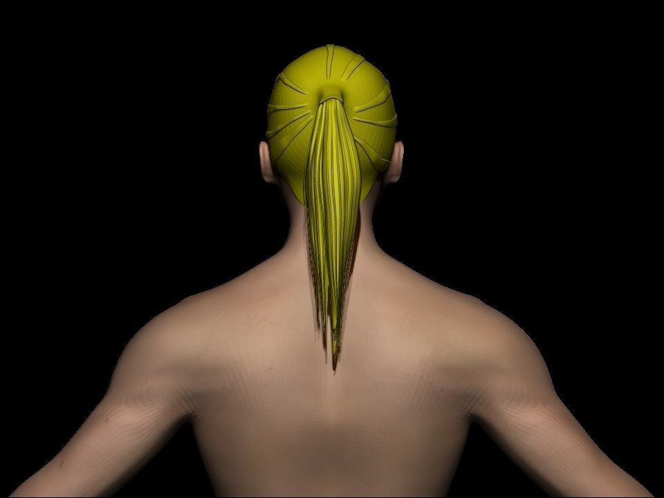 Female base mesh  Low-poly 3D model_5