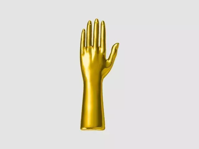 Hand model gold mannequin 3D print model_0