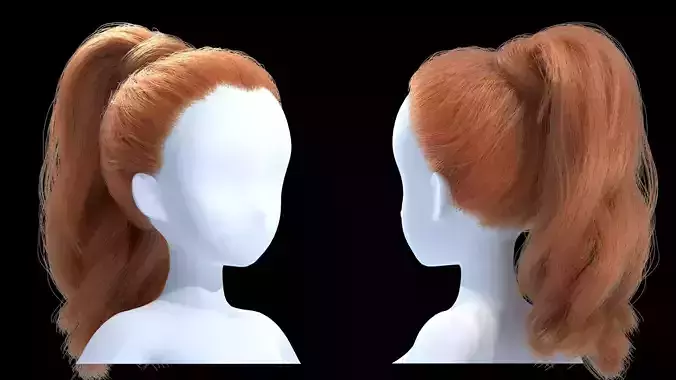 Ponytail 3D model