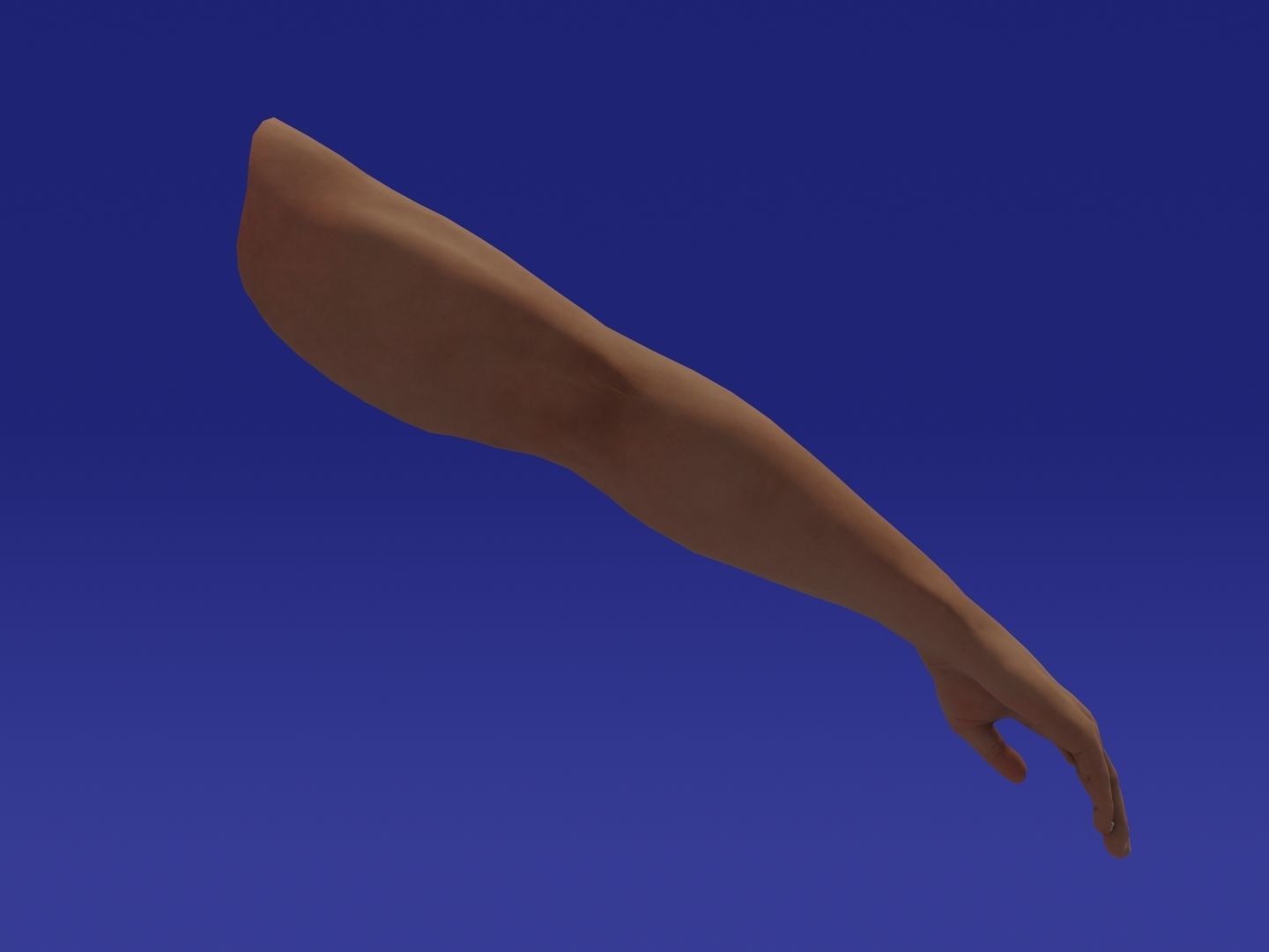 Rigged Low Poly Arm with Corrective Shape Keys Low-poly 3D model_11