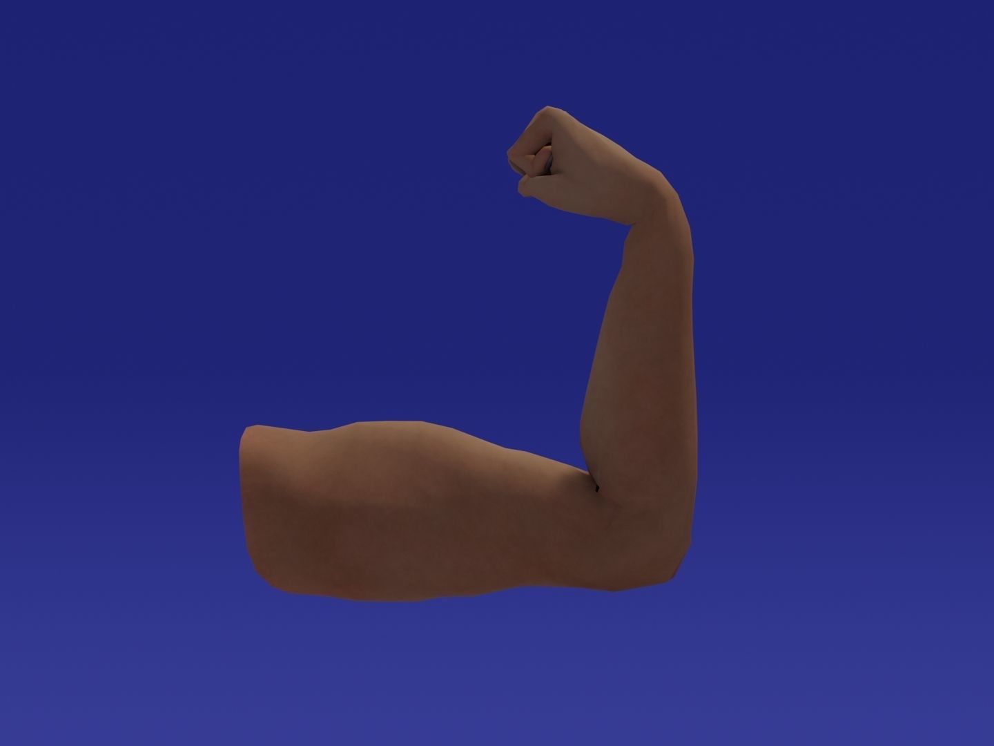 Rigged Low Poly Arm with Corrective Shape Keys Low-poly 3D model_15