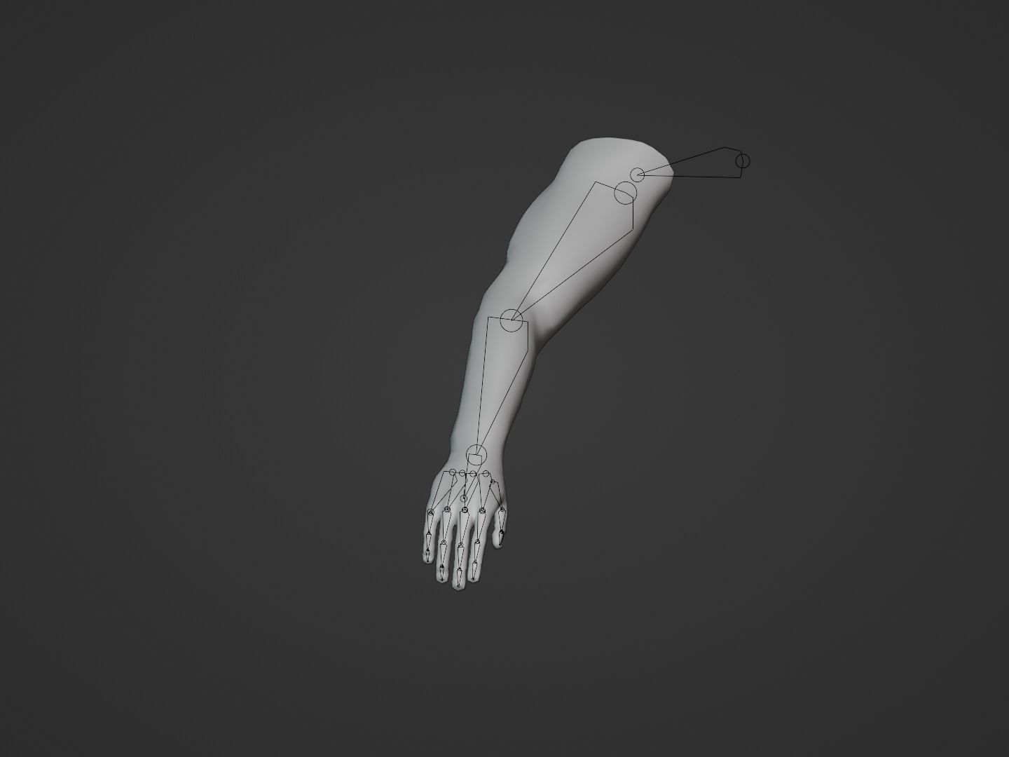 Rigged Low Poly Arm with Corrective Shape Keys Low-poly 3D model_8