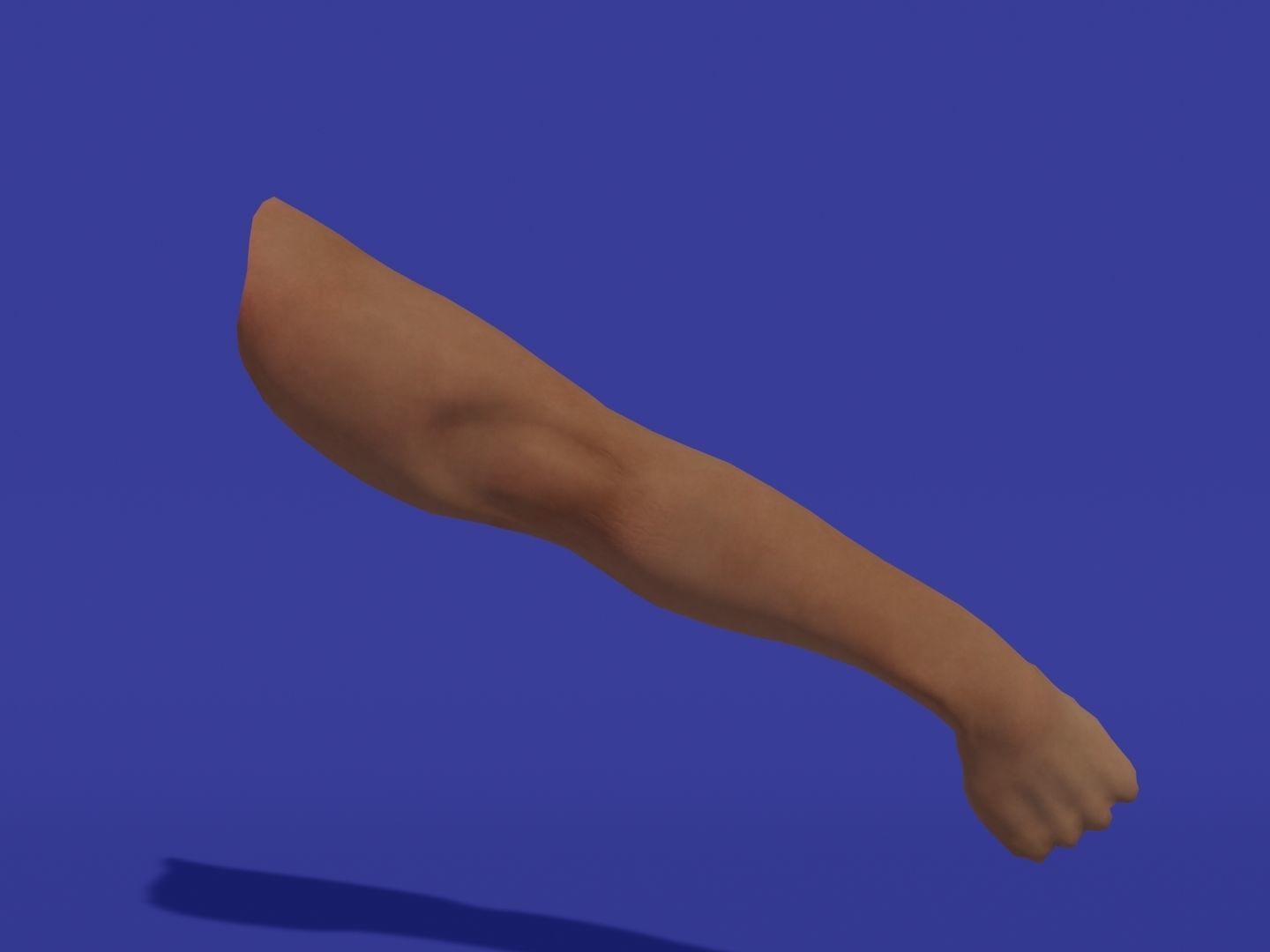 Rigged Low Poly Arm with Corrective Shape Keys Low-poly 3D model_17