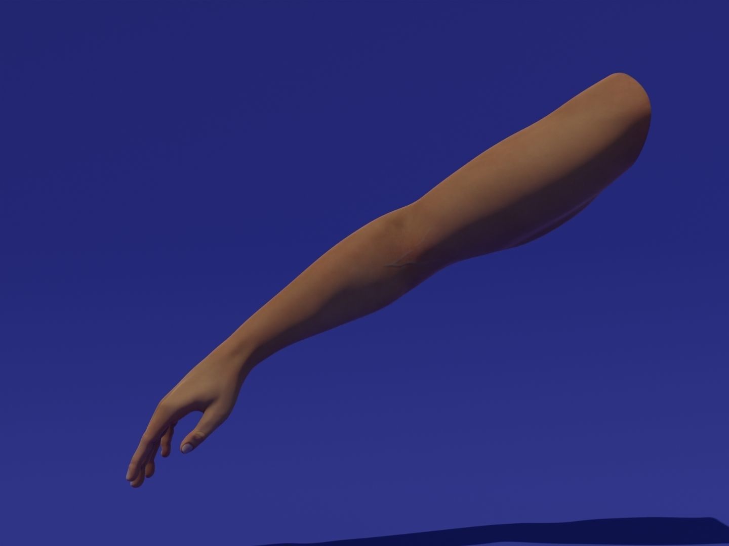 Rigged Low Poly Arm with Corrective Shape Keys Low-poly 3D model_7