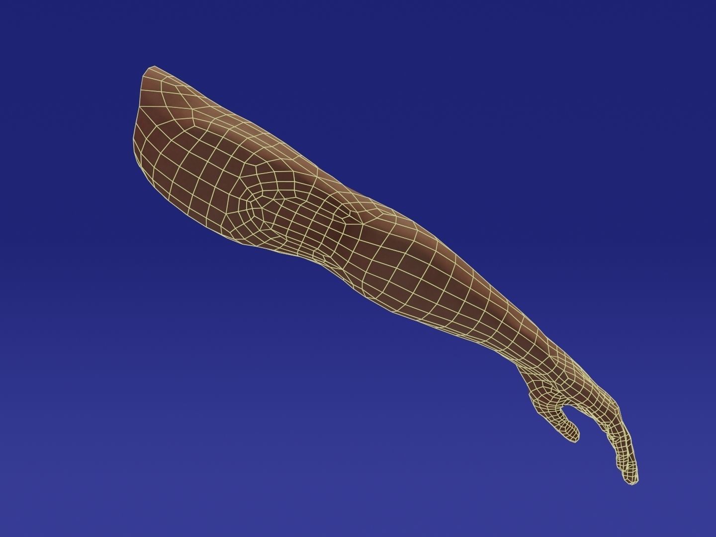 Rigged Low Poly Arm with Corrective Shape Keys Low-poly 3D model_12