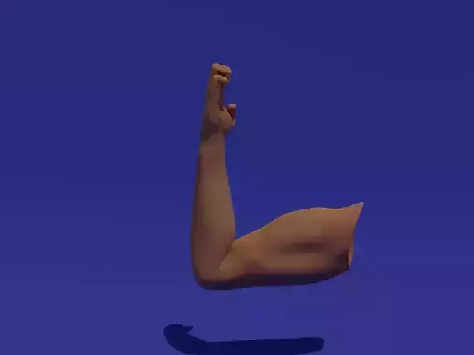 Rigged Low Poly Arm with Corrective Shape Keys Low-poly 3D model