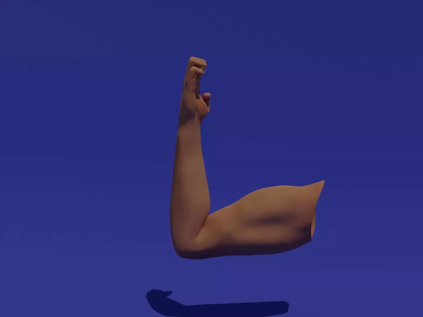 Rigged Low Poly Arm with Corrective Shape Keys Low-poly 3D model_0