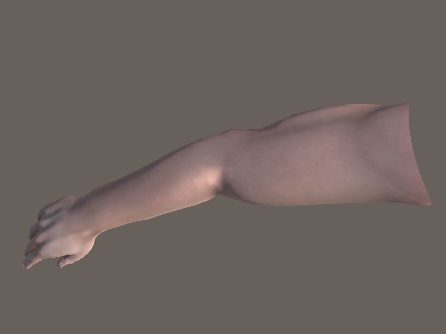 Rigged Low Poly Arm with Corrective Shape Keys Low-poly 3D model_4