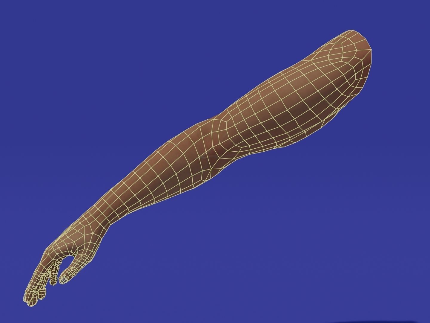 Rigged Low Poly Arm with Corrective Shape Keys Low-poly 3D model_10