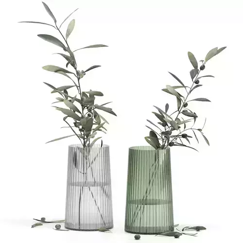 Olive branches in a vase set3 3D model
