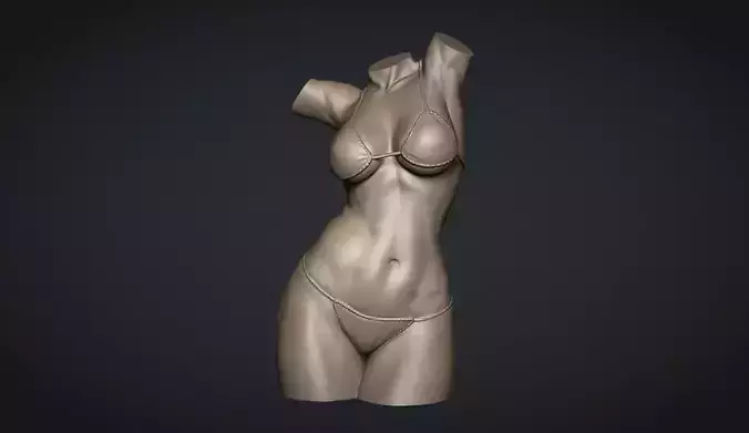 Female Torso