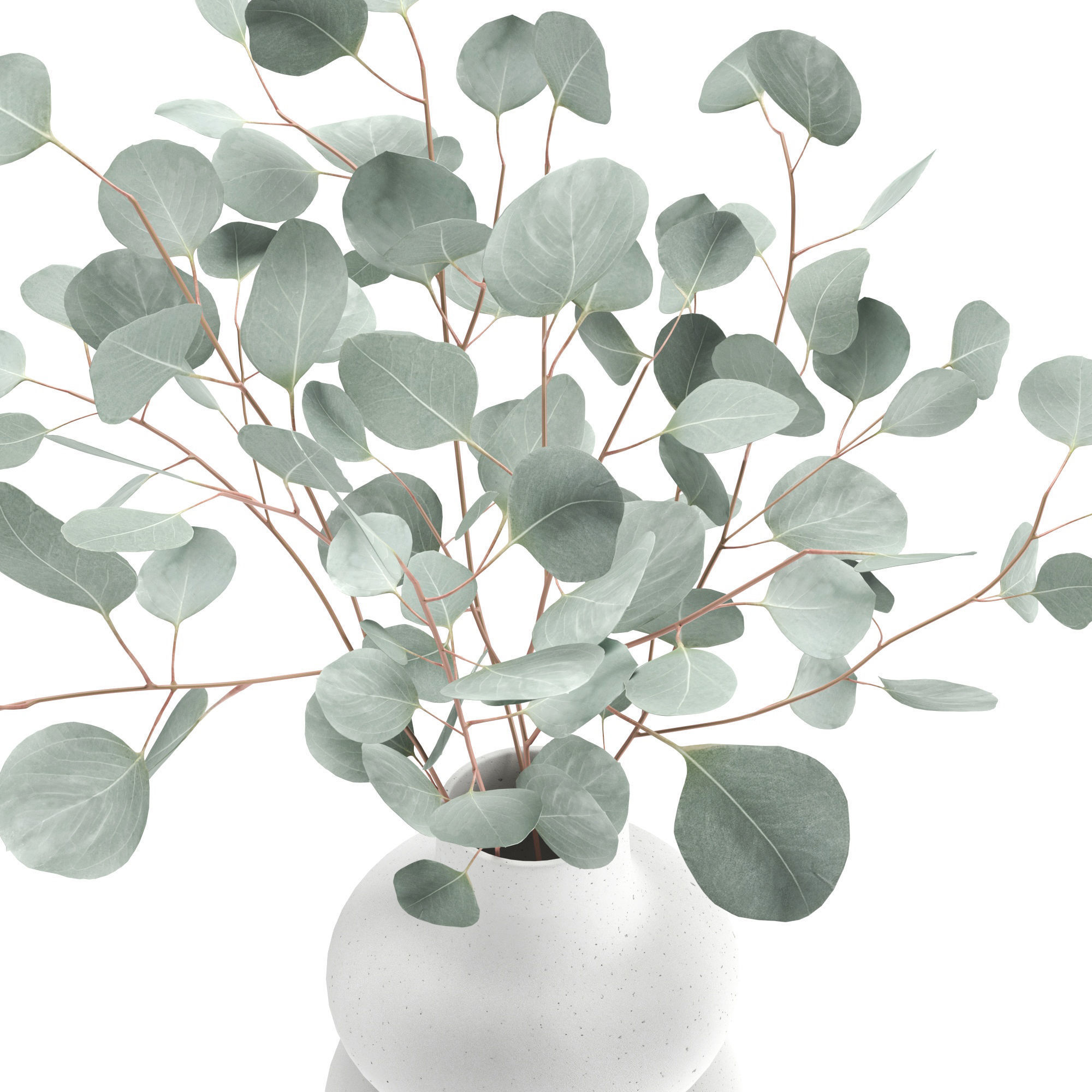 Eucalyptus in a vase set1 3D model CGTrader