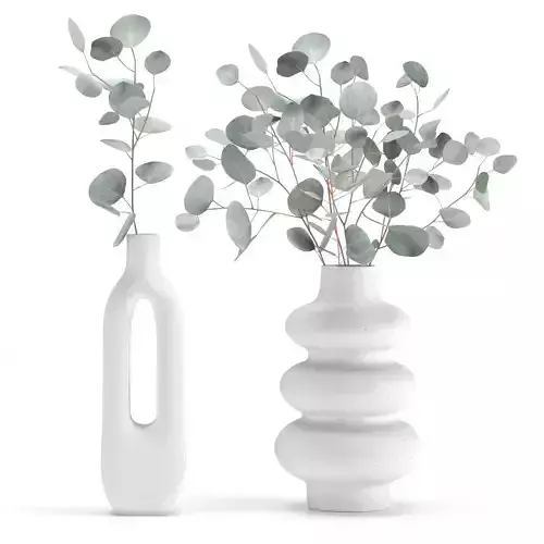 Eucalyptus in a vase set1