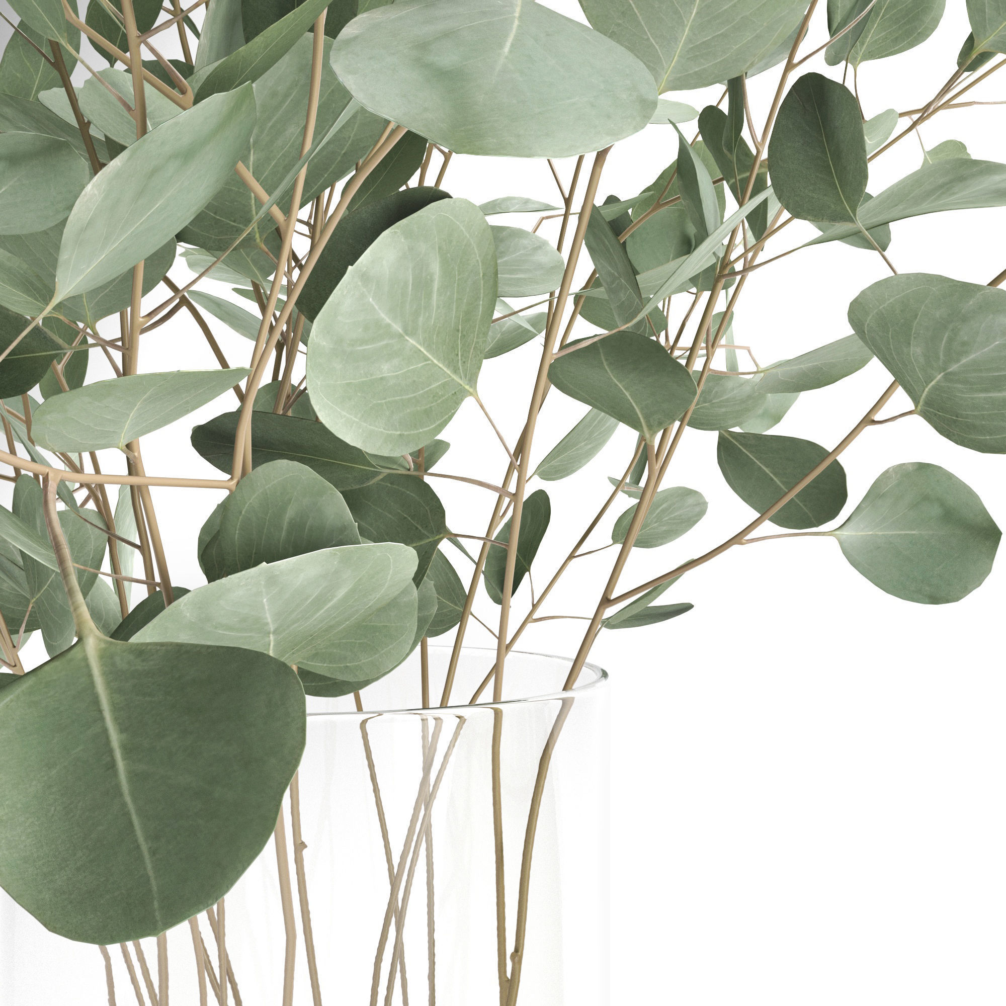 Eucalyptus and Olive branches in vases set1 3D model_2