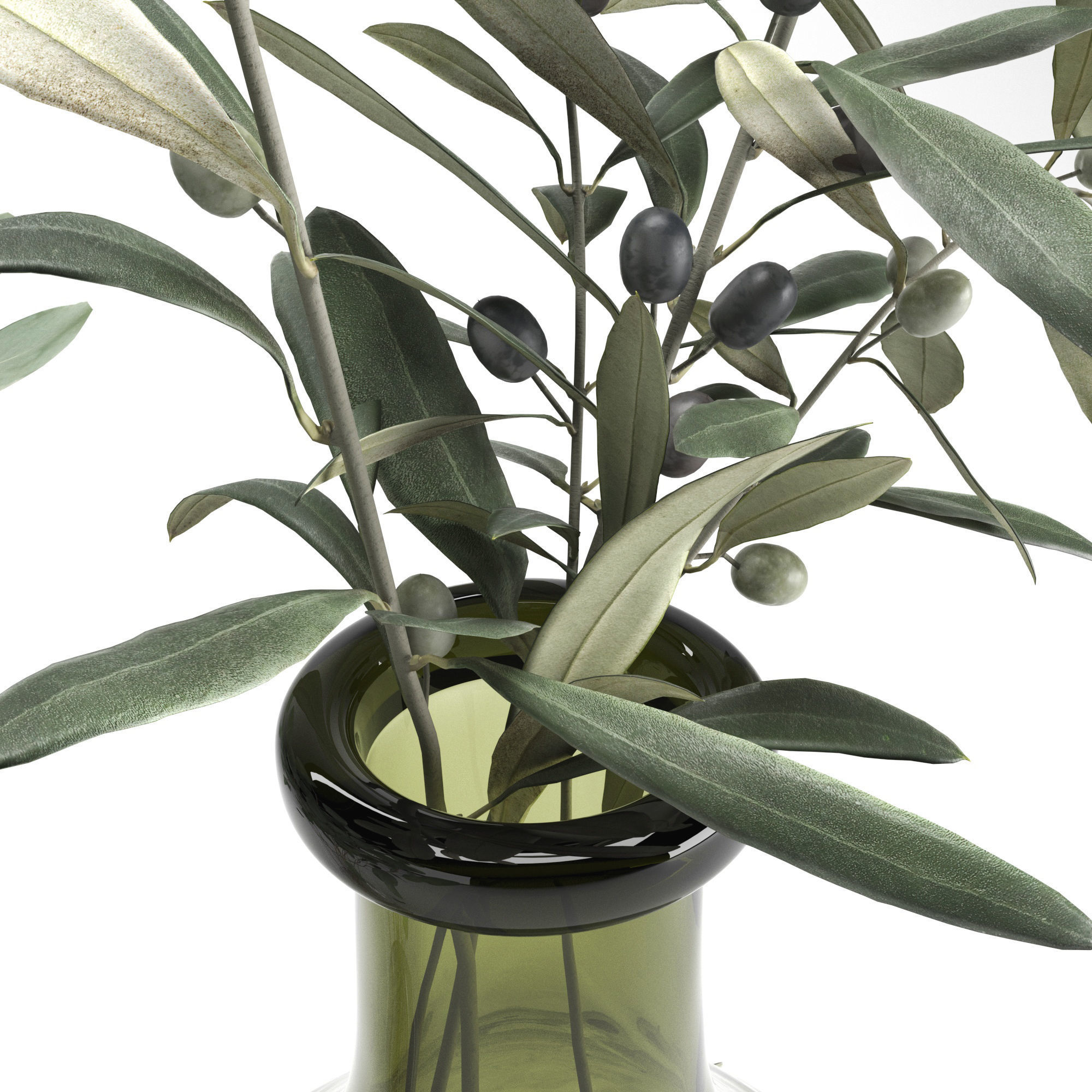 Eucalyptus and Olive branches in vases set1 3D model_1