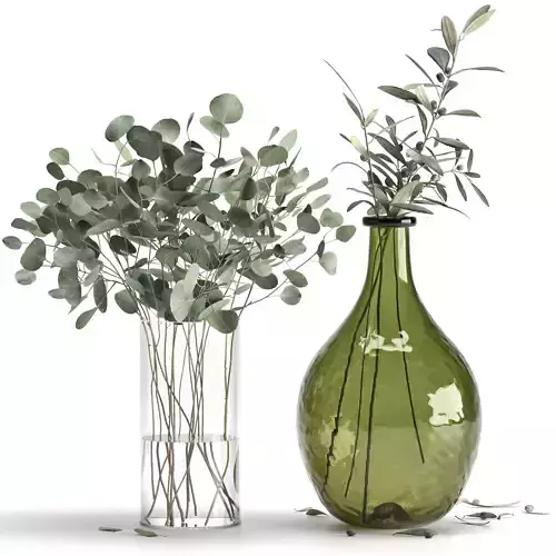 Eucalyptus and Olive branches in vases set1 3D model