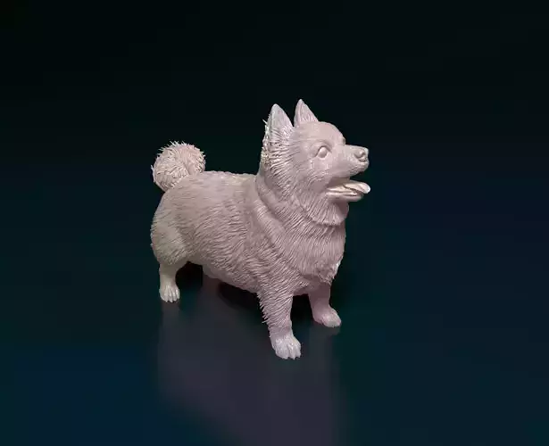 Pomeranian dog 4 3D print model