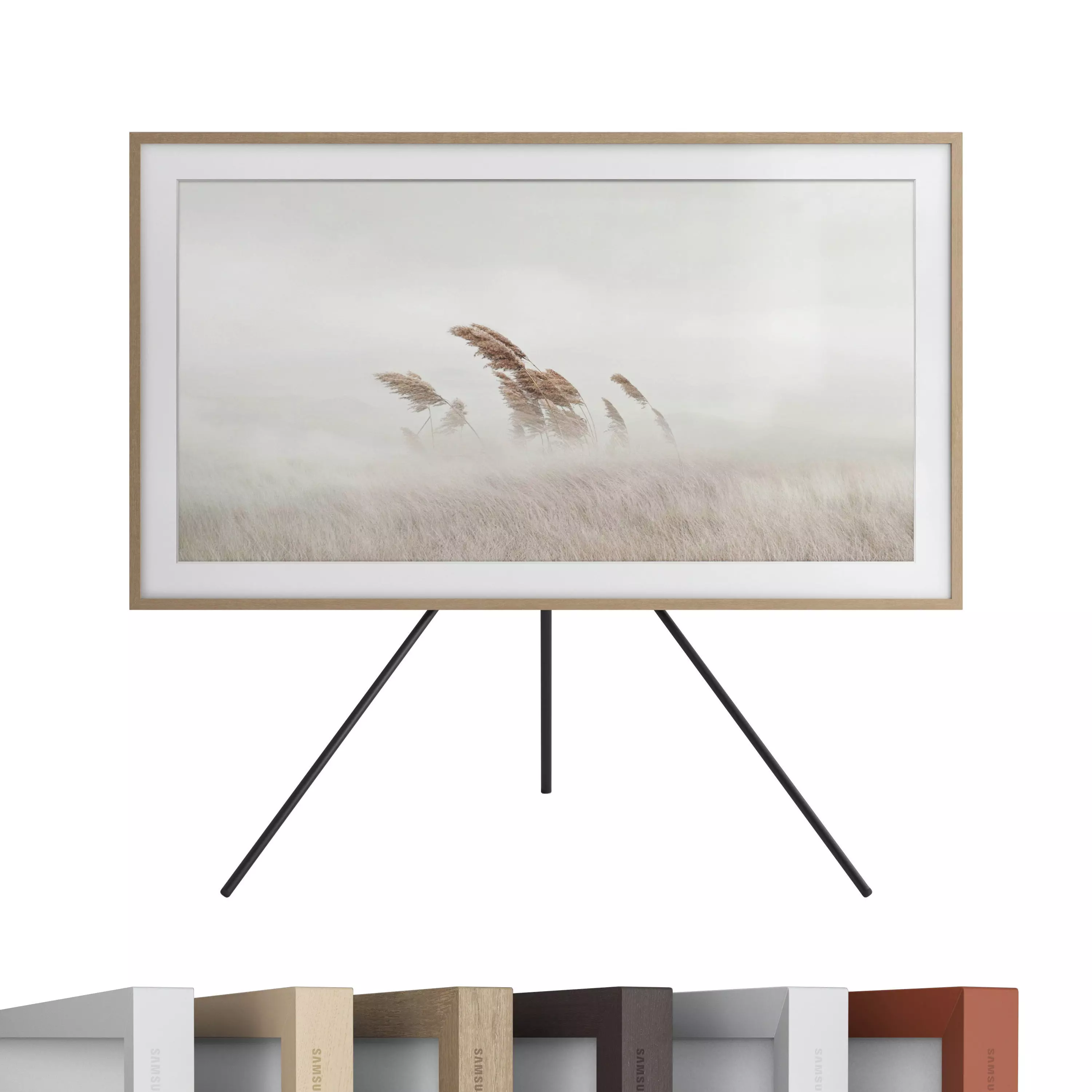 Samsung Class The Frame ArtMode QLED 4K HDR Smart TV 2020 3D model_0