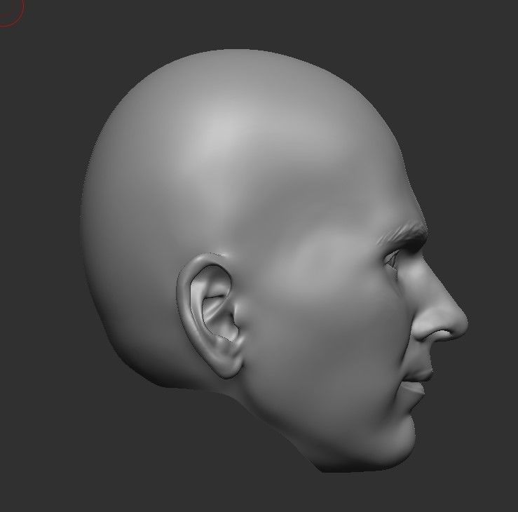 LIONEL MESSI LEGENDARY HEAD WITH HAIR AND BEARD FOR PRINT 3D print model_16