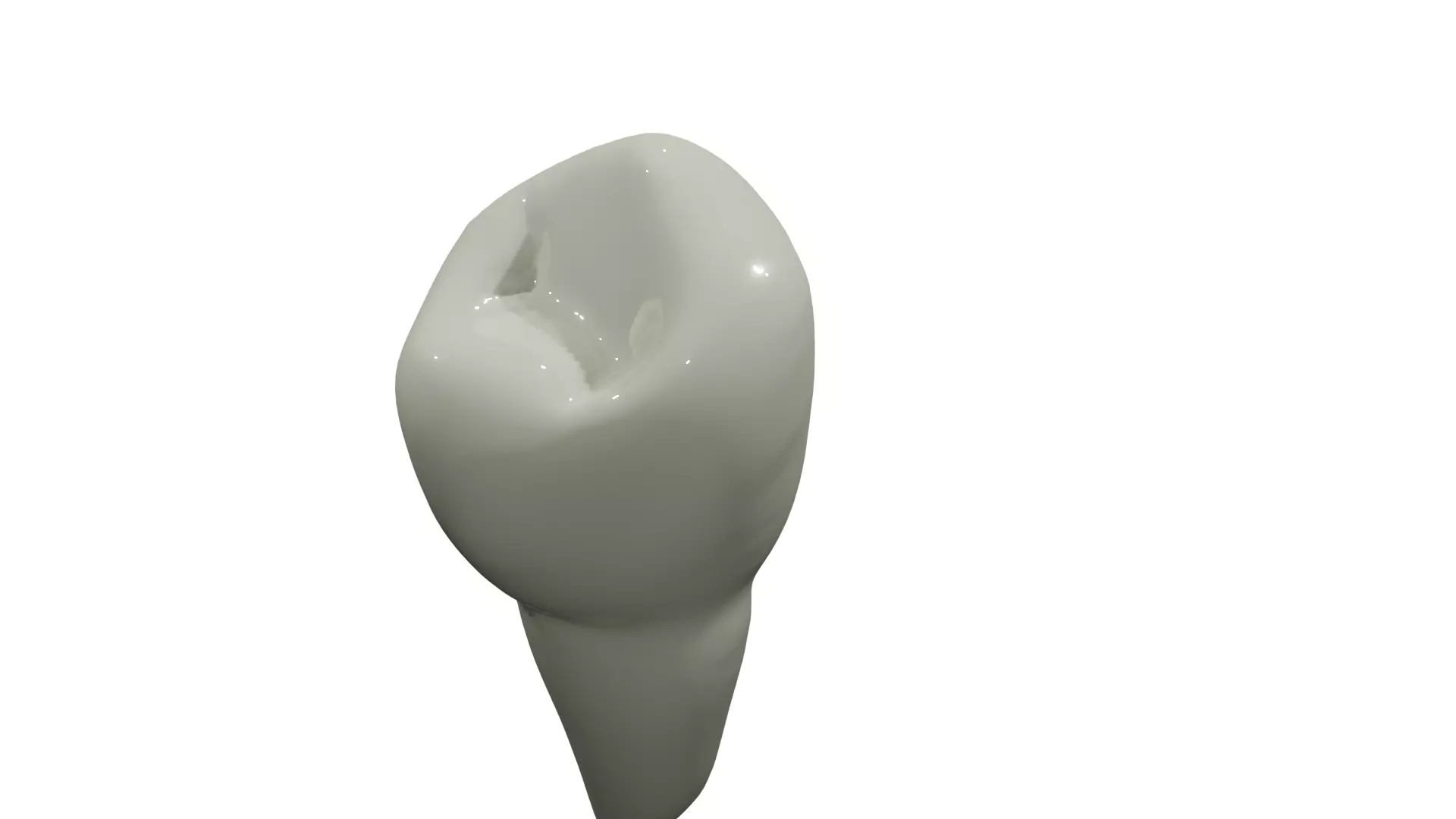 Mandibular First Premolar 3D model_0