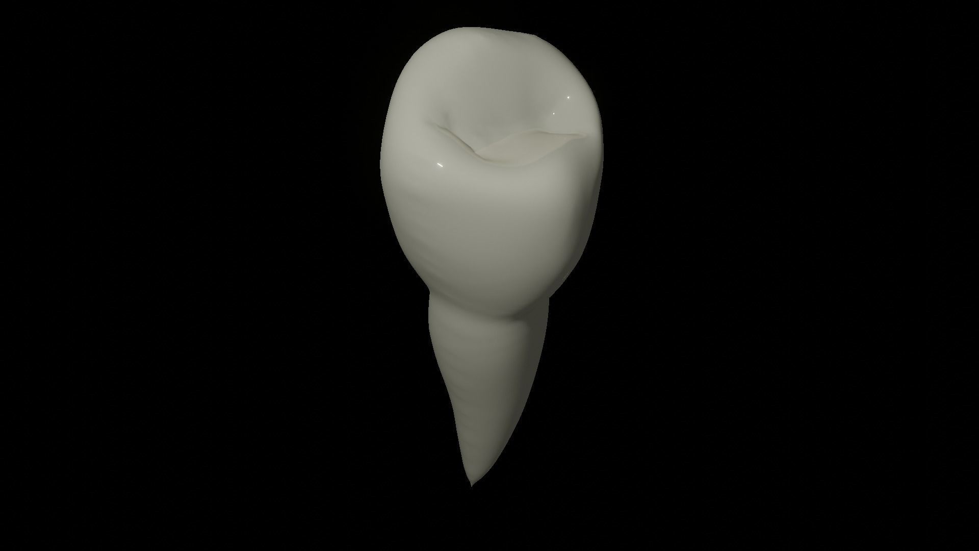 Mandibular First Premolar 3D model_1