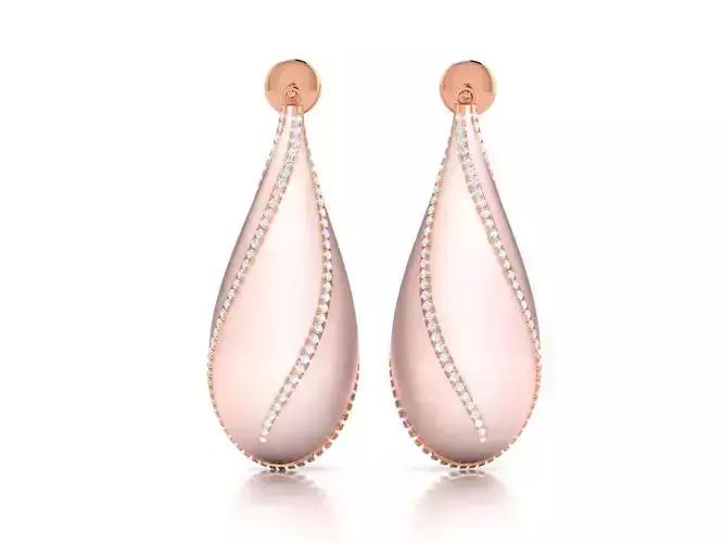 Women drop earrings 3dm render detail