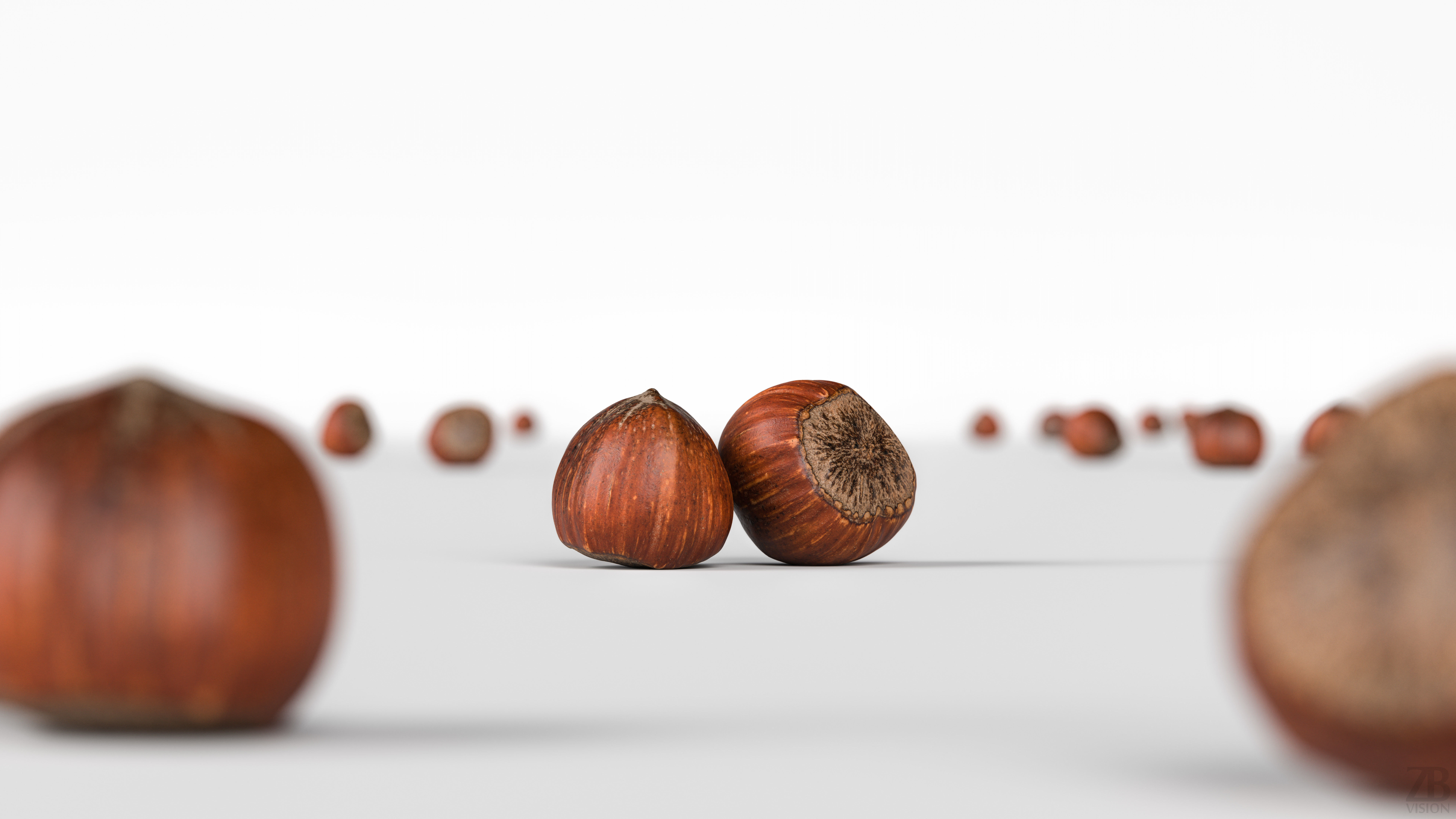 Hazelnut 3D model_1