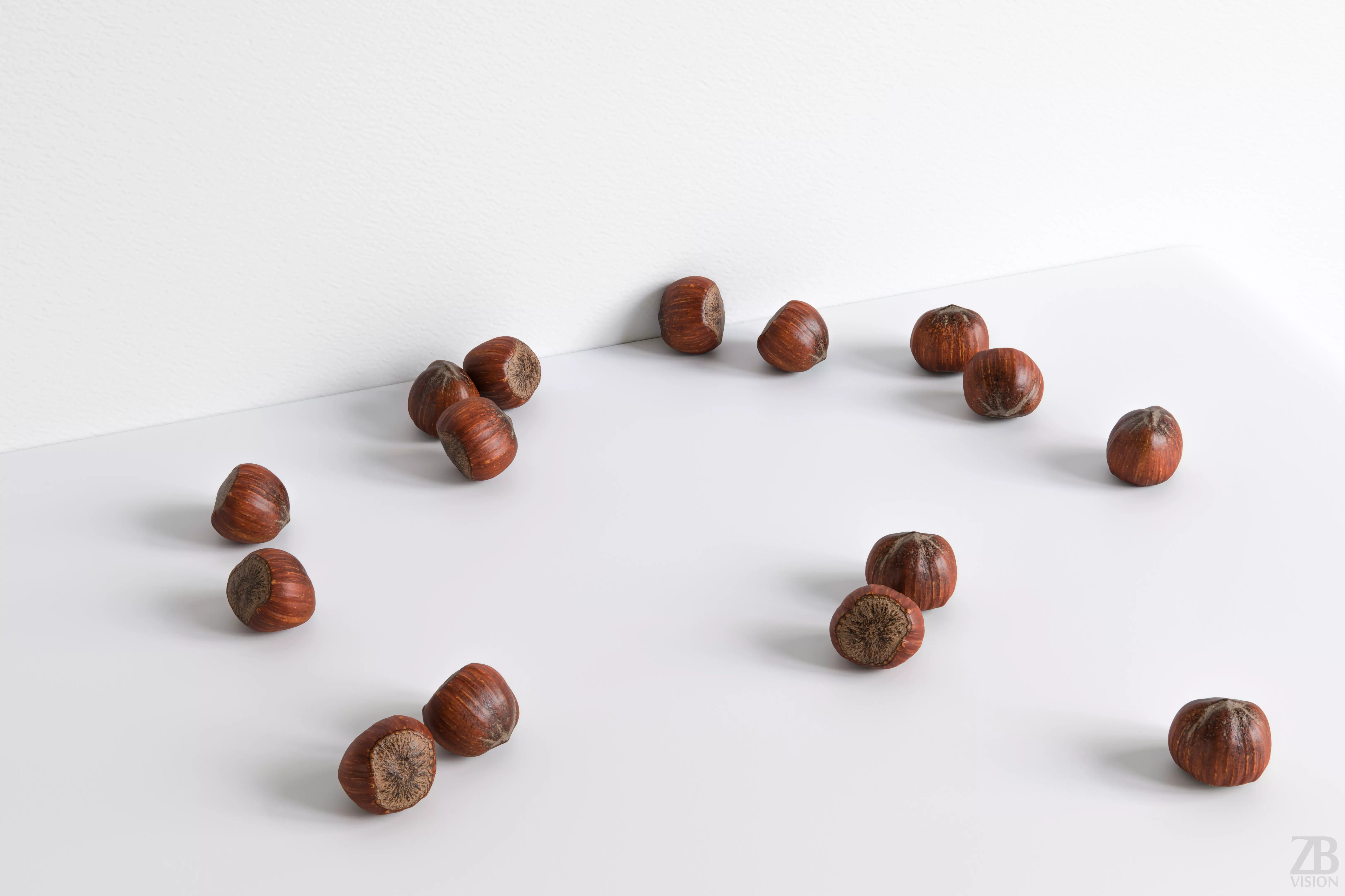 Hazelnut 3D model_0