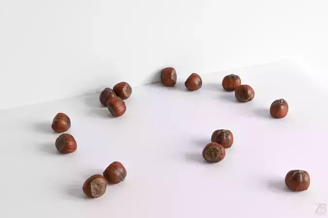 Hazelnut 3D model