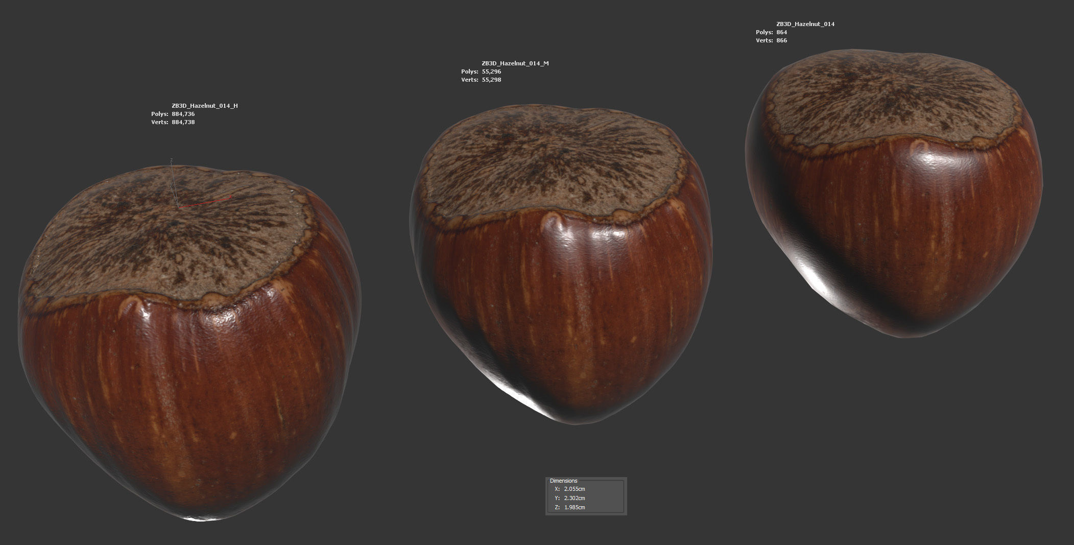 Hazelnut 3D model_5