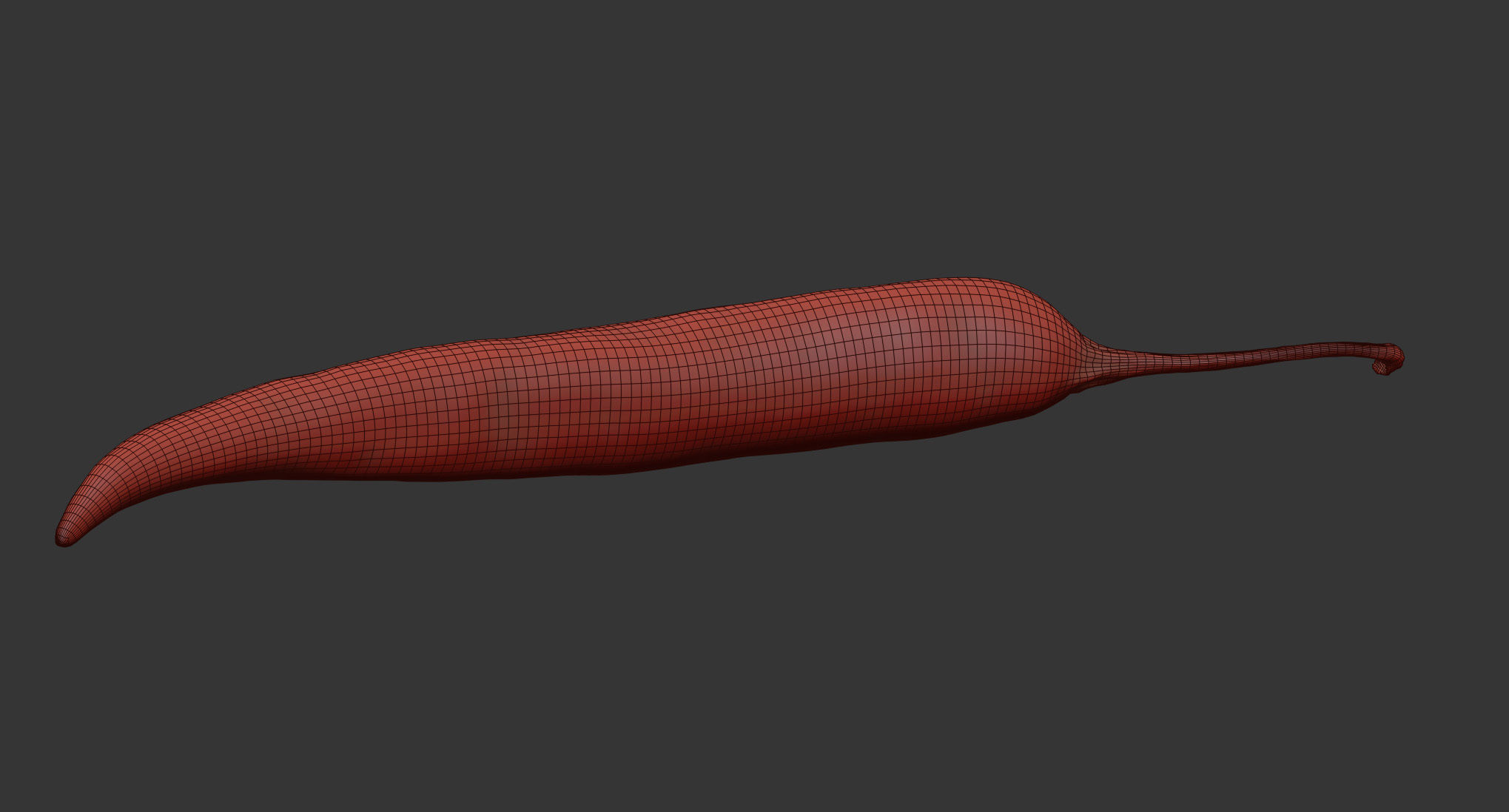 Chili 3D model_6
