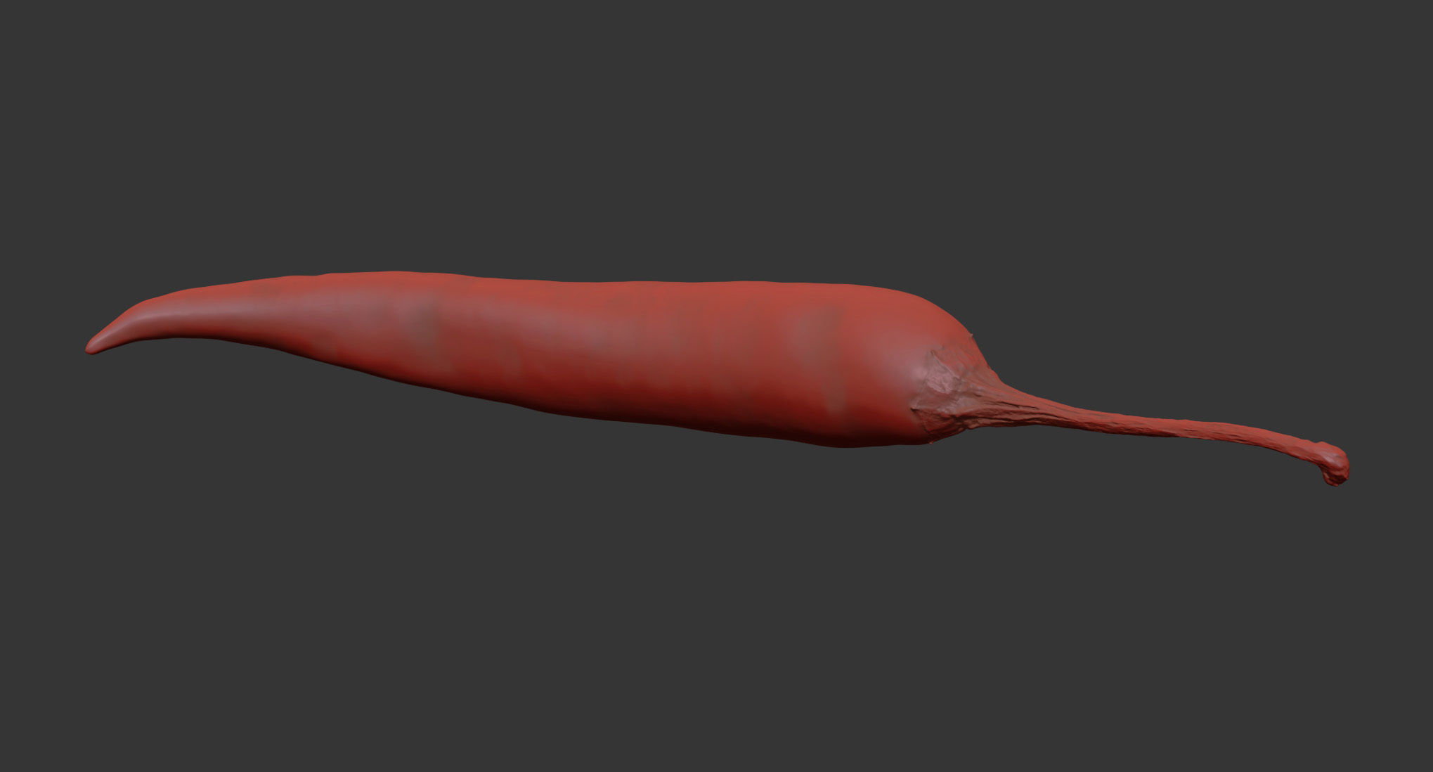 Chili 3D model_7