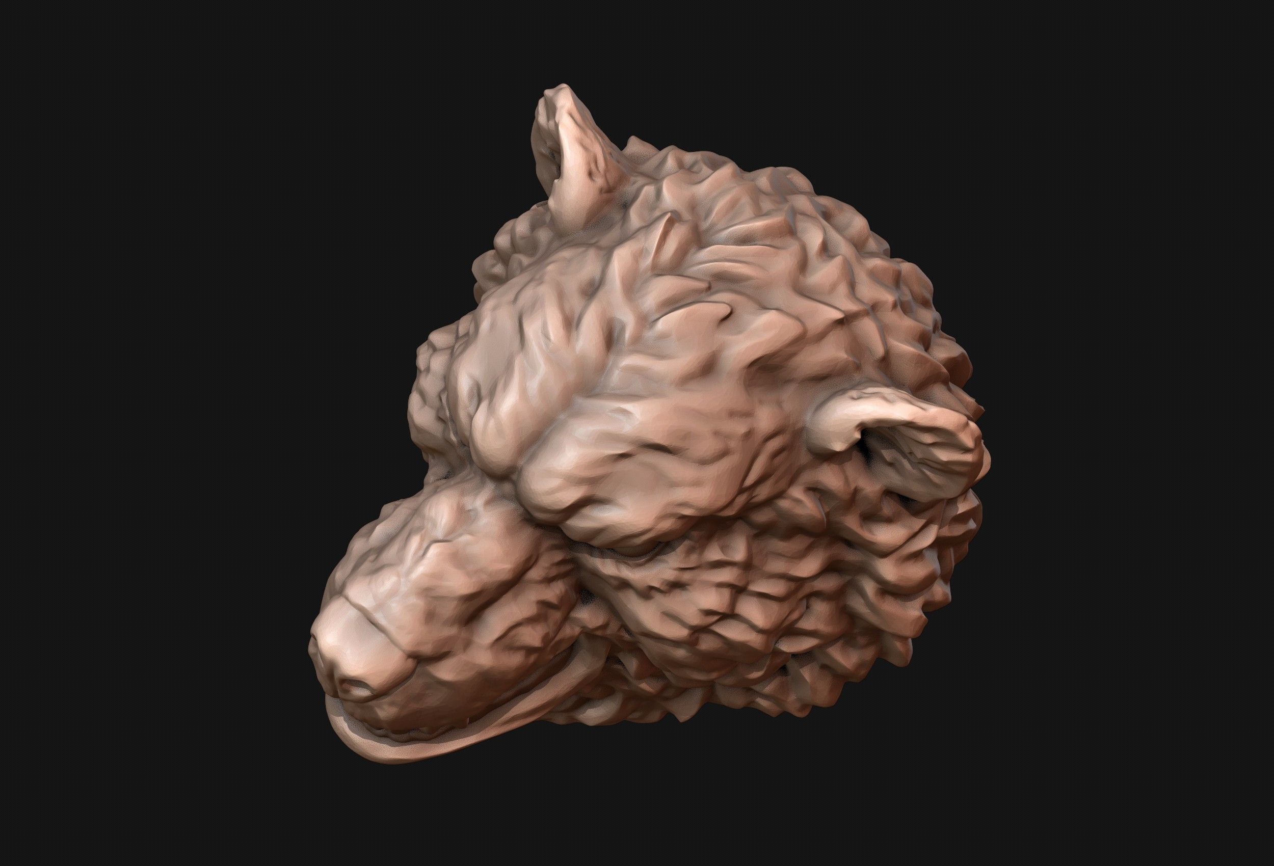 Bear Head 3D print model_3