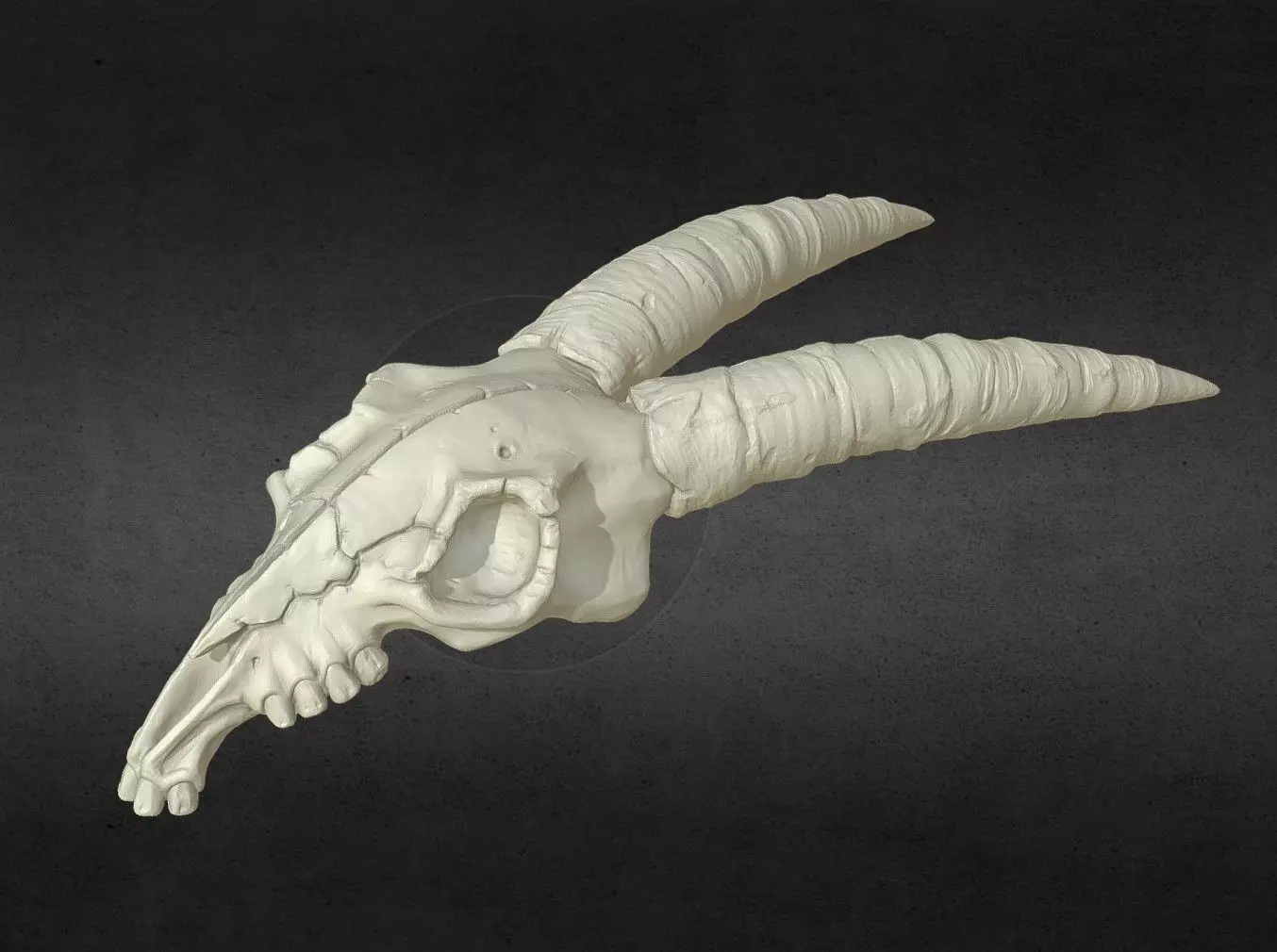 Goat Skull Stylized 3D print model