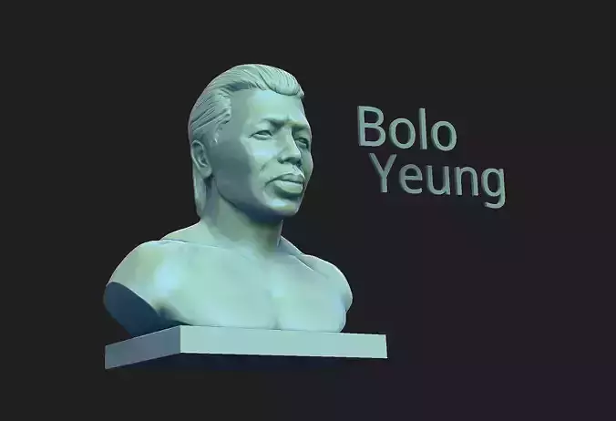 bolo yeung 3D print model