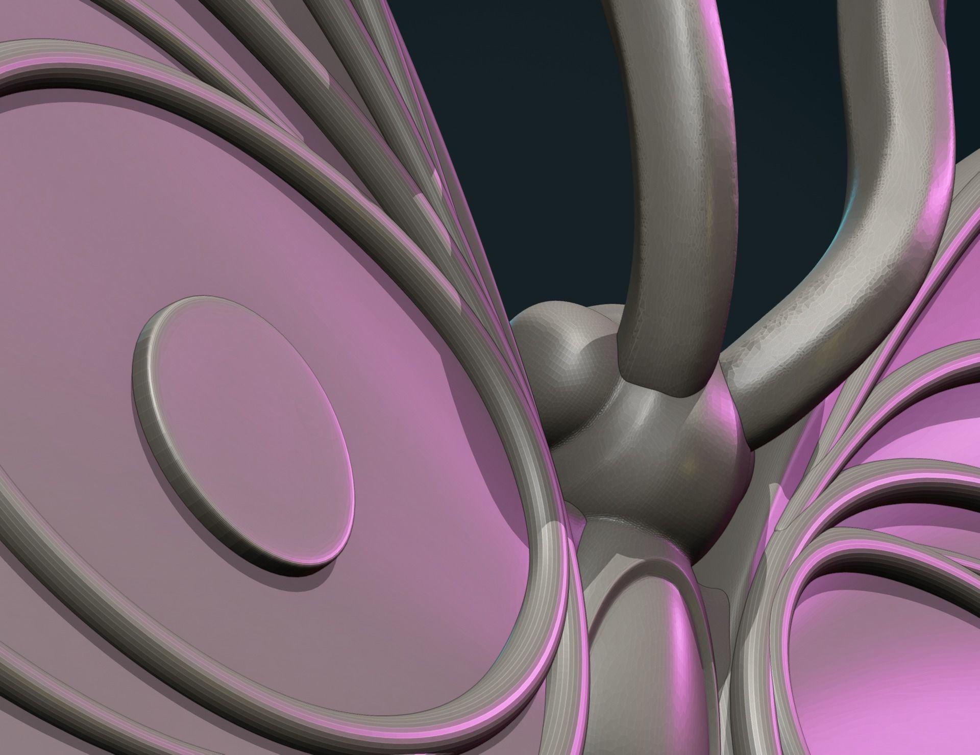 Butterfly 3D print model_12