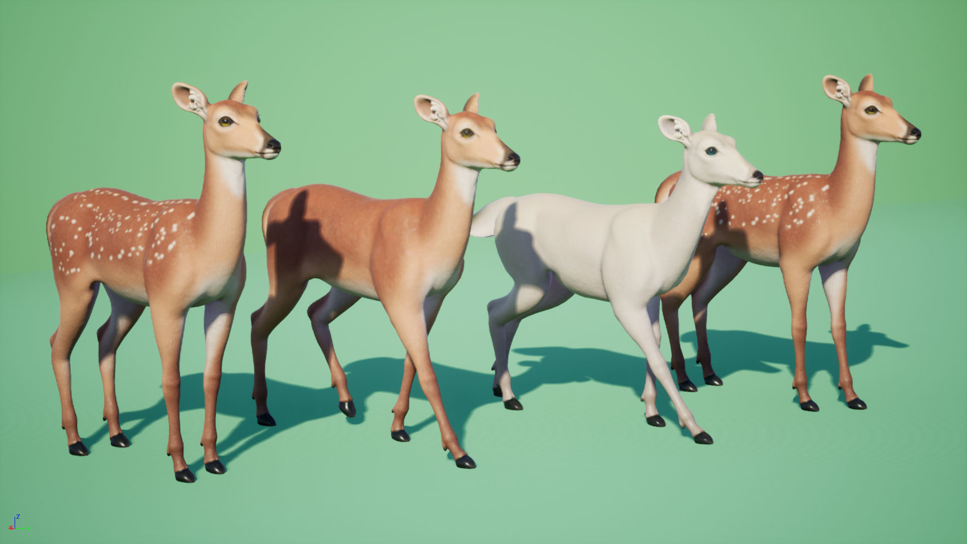 Deer stylized Low-poly 3D model_5