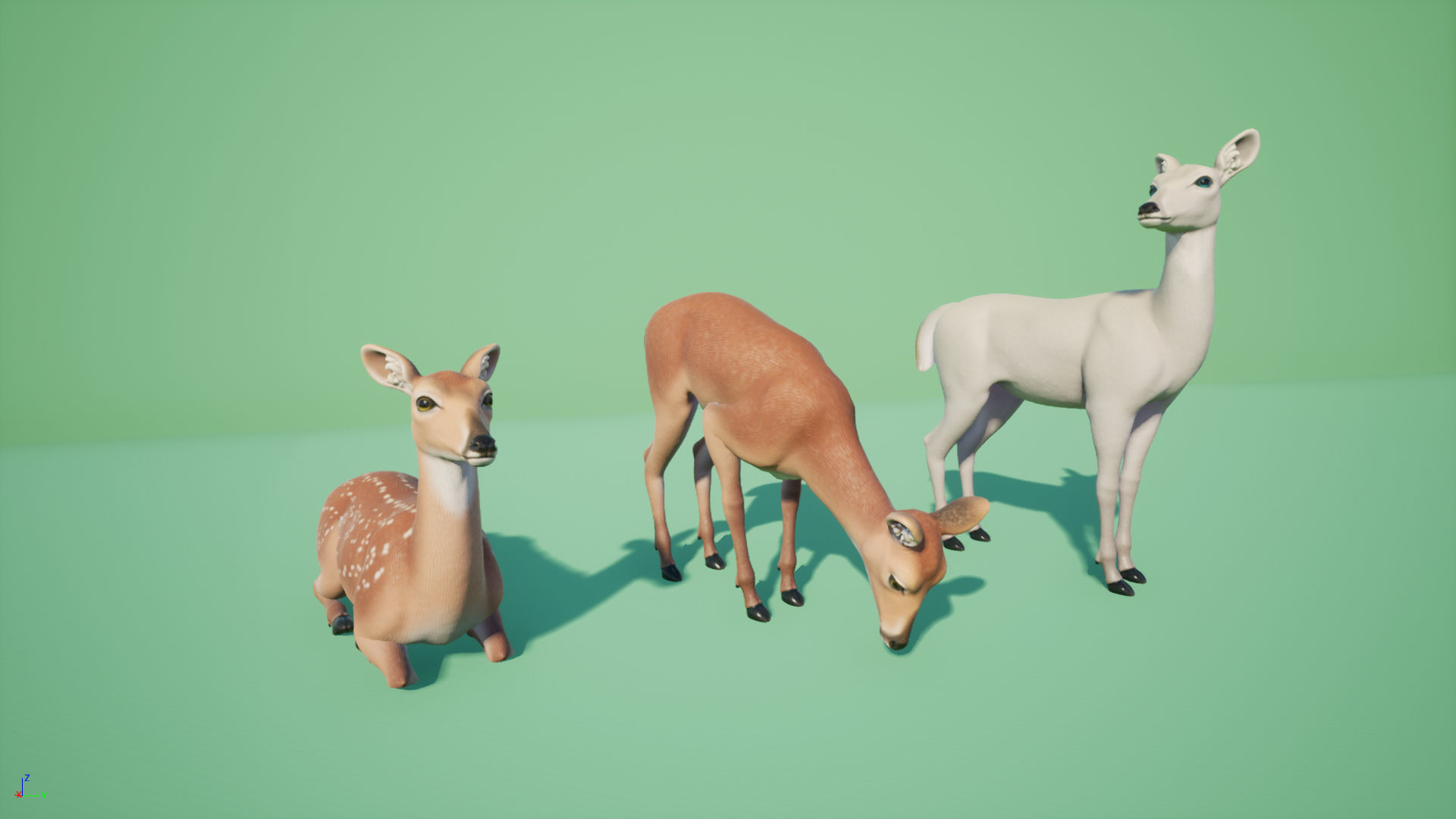 Deer stylized Low-poly 3D model_4