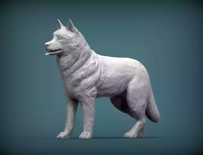 Husky dog 3D print model