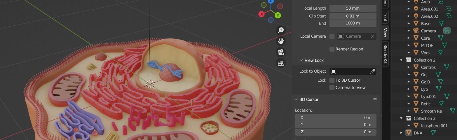Human cell ready for 3d printing 3D print model_1