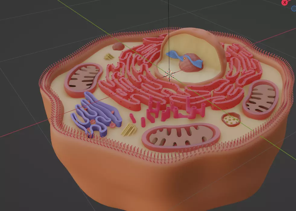 Human cell ready for 3d printing 3D print model_0