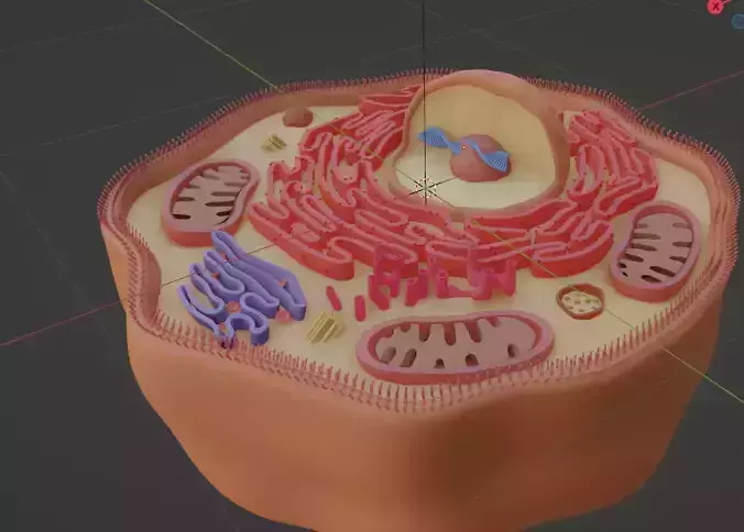 Human cell ready for 3d printing 3D print model
