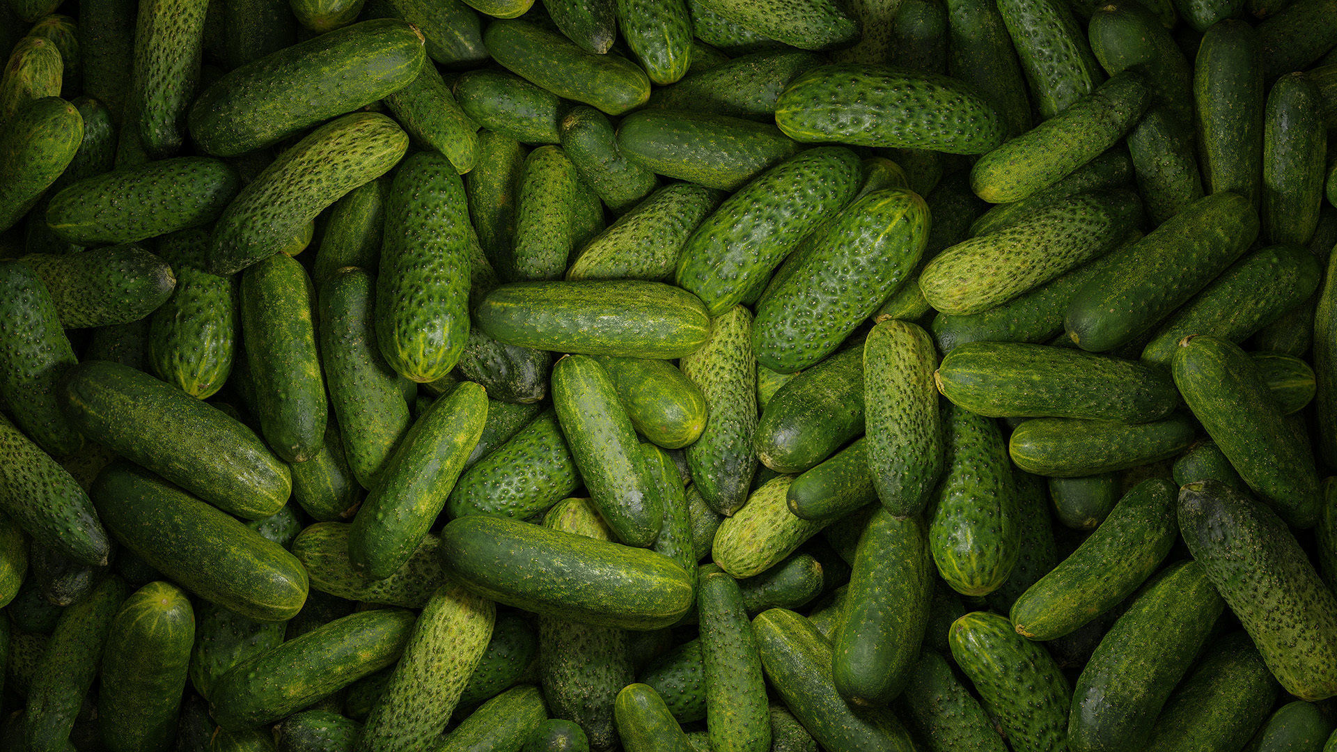 Cucumbers scanned models Low-poly 3D model_2