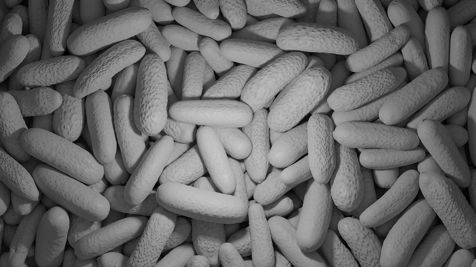 Cucumbers scanned models Low-poly 3D model_3