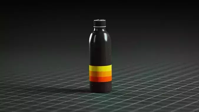 Metal Water Bottle Used